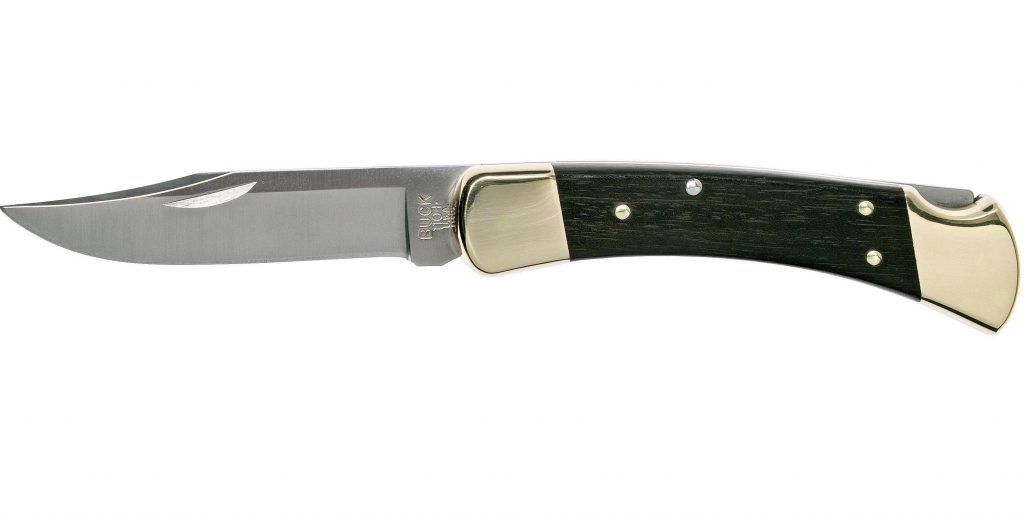 Buck 110 Folding Hunter